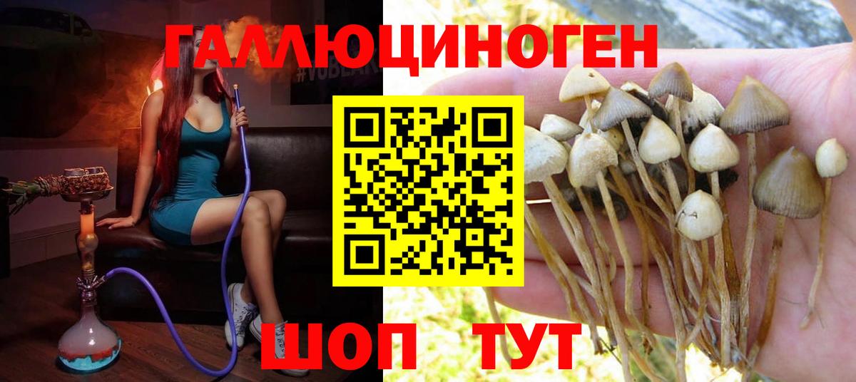 Галлюциногенные грибы ЛСД  Вход с VPN  Анапа 
