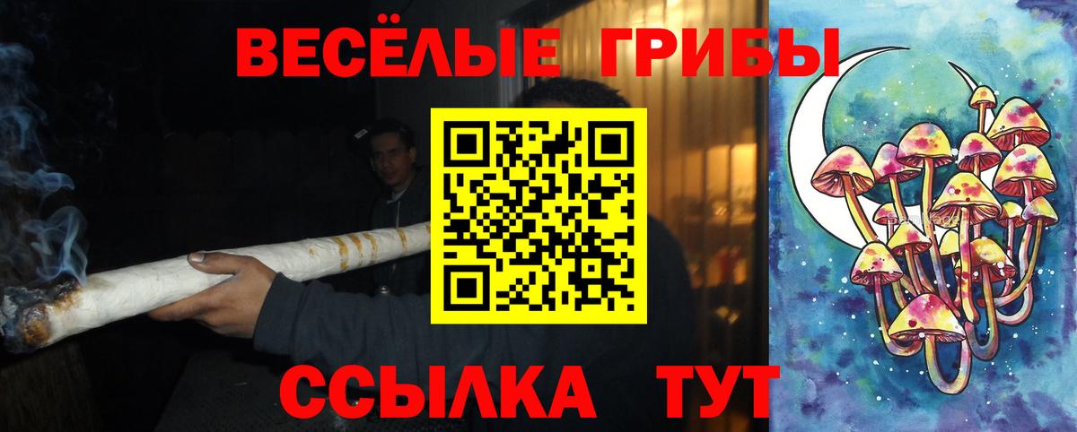 Псилоцибиновые грибы GOLDEN TEACHER Анапа